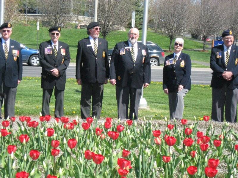 Tulips given to the town